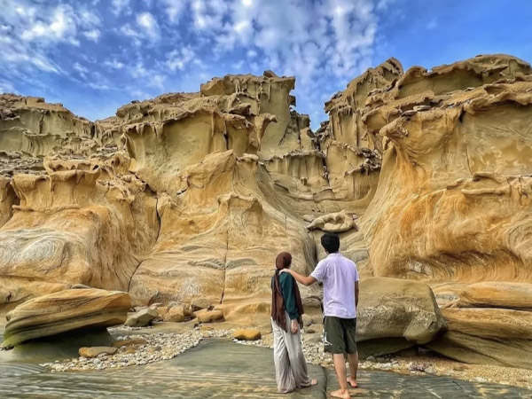 تور پارسیان